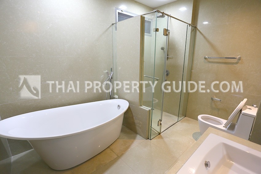 Condominium in Sukhumvit : The Madison Condominium 