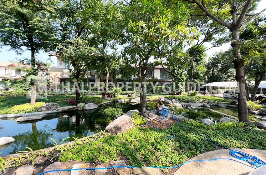 House with Private Pool in Sukhumvit 