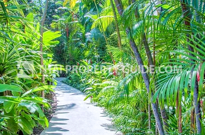 Penthouse in Sukhumvit 